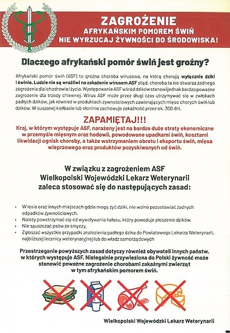 Afrykański pomór świń plakat