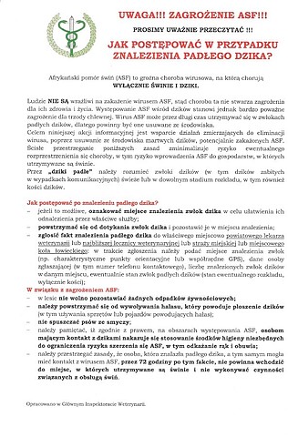 Afrykański pomór świń ulotka